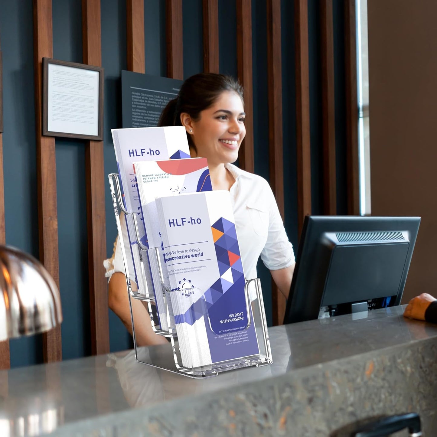 Brochure Holder 4x9 Inch 3 Tier Acrylic Literature Holders Clear Plastic Flyer Display Stand Countertop Use or Wall Mount Pamphlet Holder Organizer for Office, Lobby, Hotel, Trade Show, 2 Pack