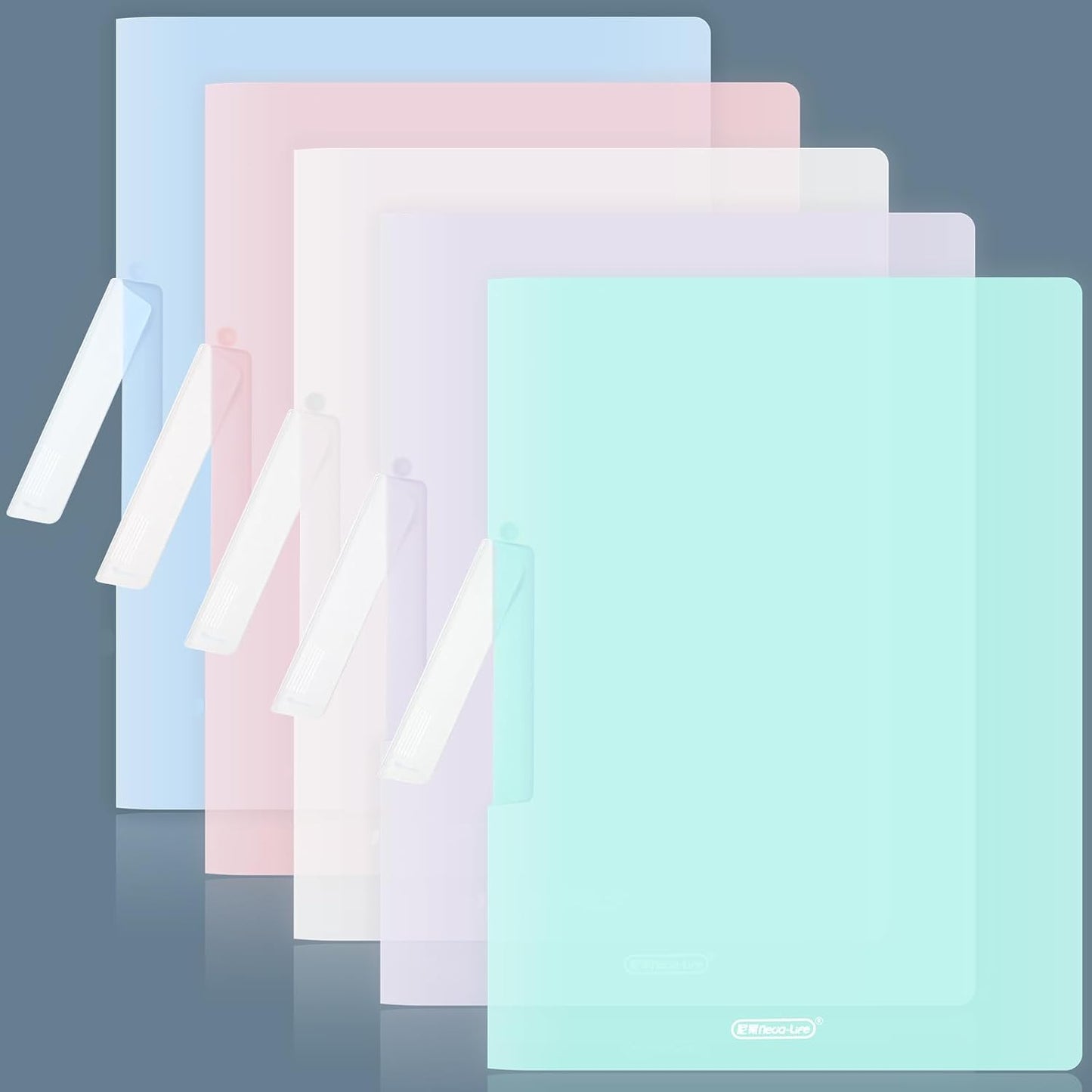 BAYTORY Plastic Folders with Swing Clip, Report Covers for A4 and Letter Size Paper, 5 Pack Presentation Binder for School Business, 30 Sheet Capacity/Pack (Multicolor)