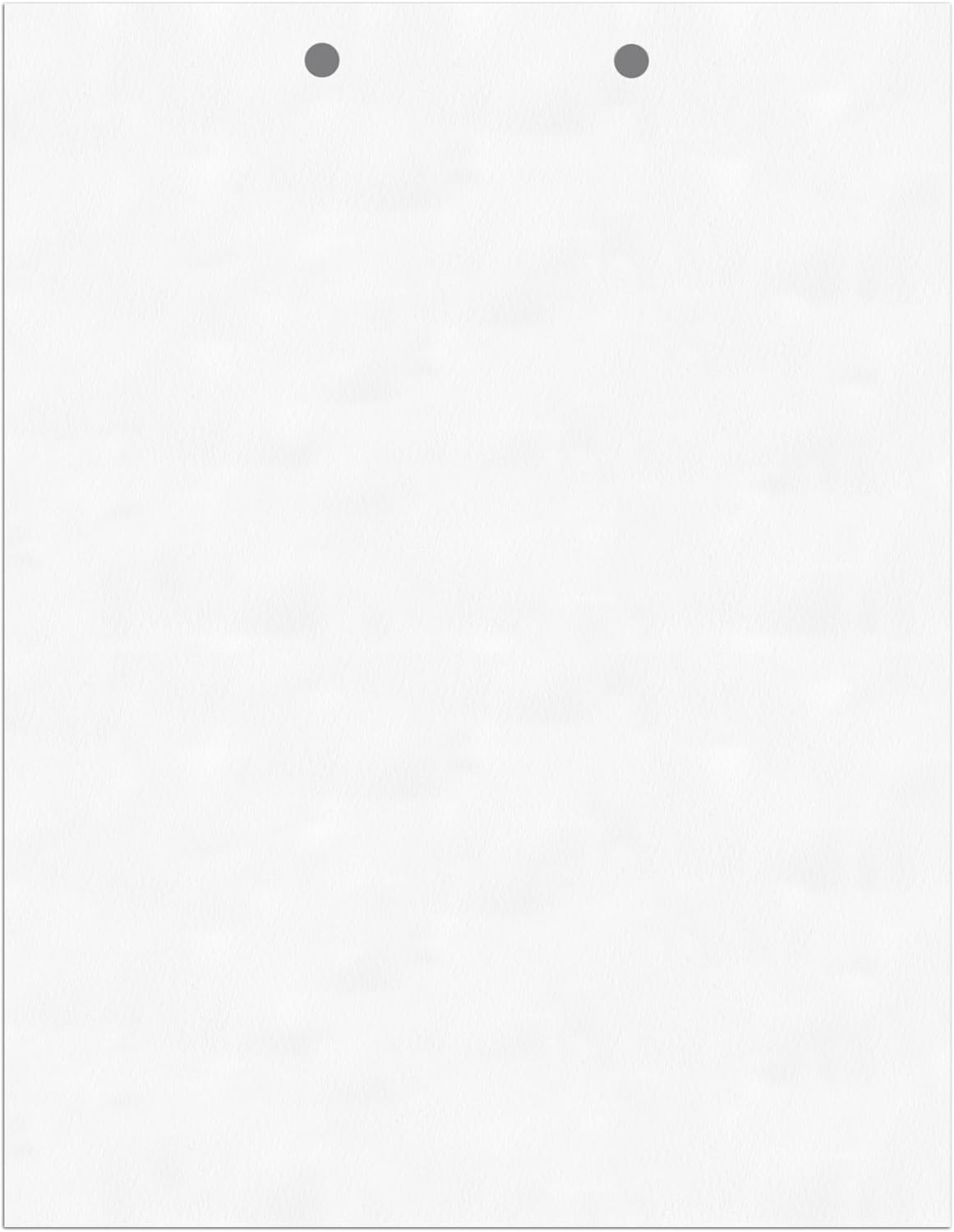 PrintWorks Professional 2 Hole Punch Top Paper - Pre-Punched for Folders, Binders, & Clipboards - Made in the USA - 500 Sheets - 8.5" x 11" - 20 lb - 92 Bright White (04110)