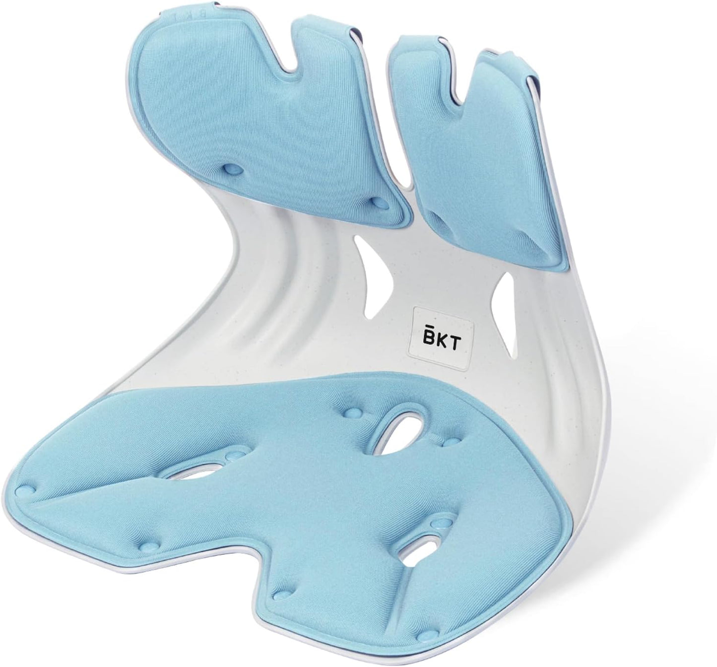 BKT Lumbar Support Seat Cushions Ergonomic Office Chair for Students Office Workers Nursing Mothers Long Sitting Outdoor Fishing Floor Chair (L-Sky Blue)