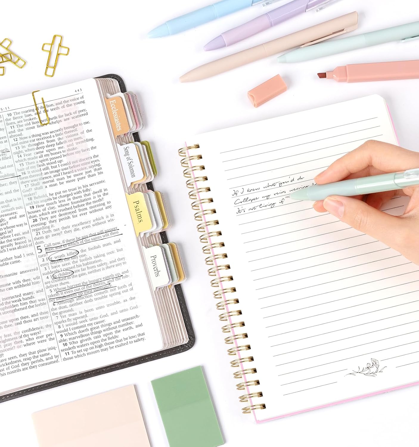 47Pcs Bible Study Supplies, Bible Journaling Kit for Women, Pink Pencil Case, 12 Pastel No Bleed Highlighters and 6 Colored Pens, Bible Tabs and More, Book Annotation Kit for Women & Men (Pink)