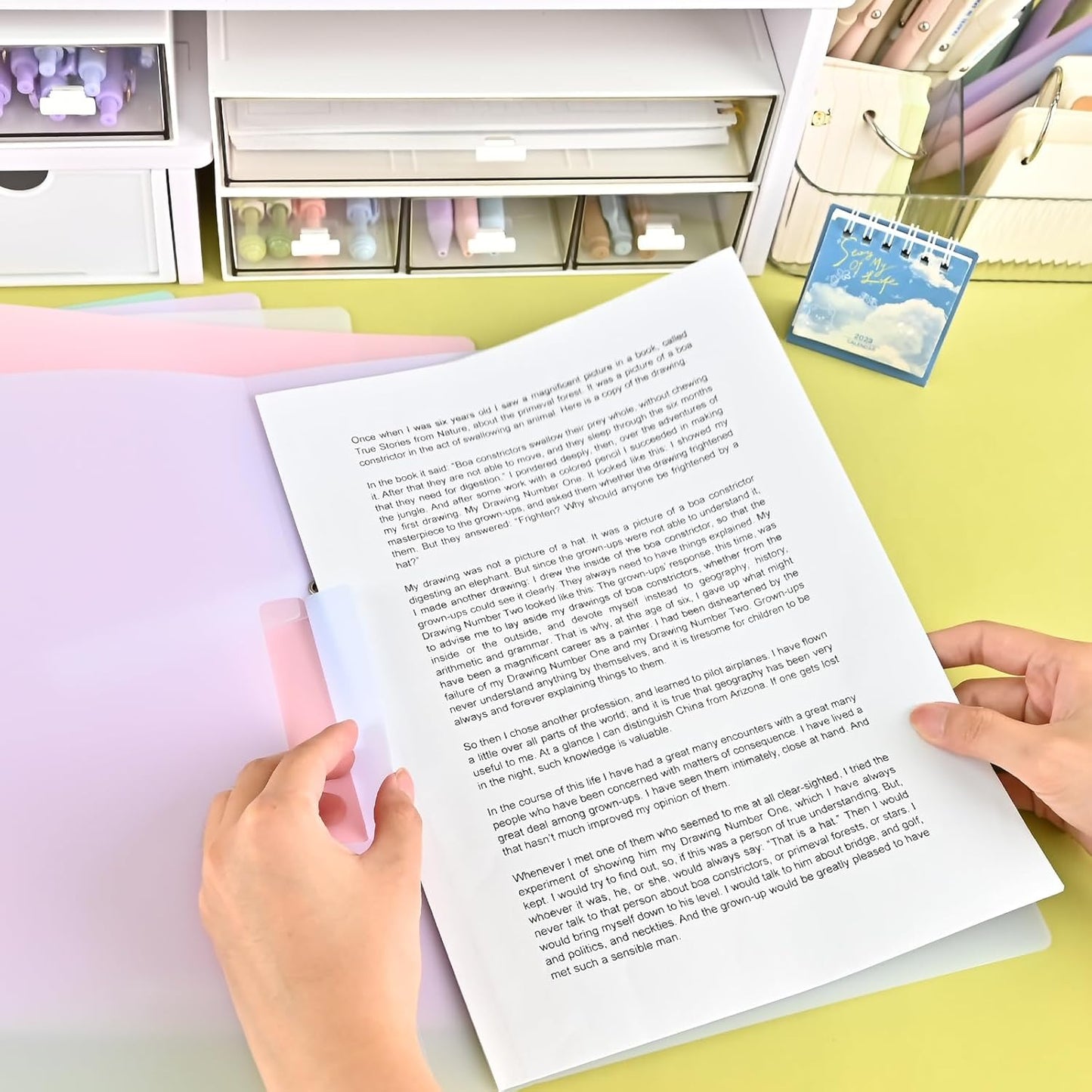 BAYTORY Plastic Folders with Swing Clip, Report Covers for A4 and Letter Size Paper, 5 Pack Presentation Binder for School Business, 30 Sheet Capacity/Pack (Multicolor)