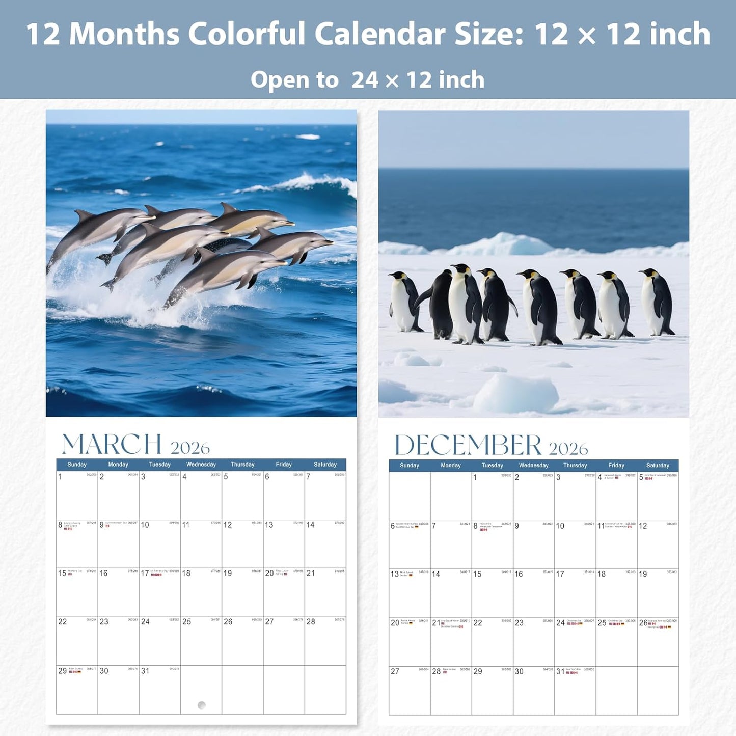 2026 Wall Calendar, Large Monthly Wall Calendar Dogs, Jan 2026 - Dec 2026, 12" x 24" (Opened), Hanging Planning Calendars for Family Home Office Supplies