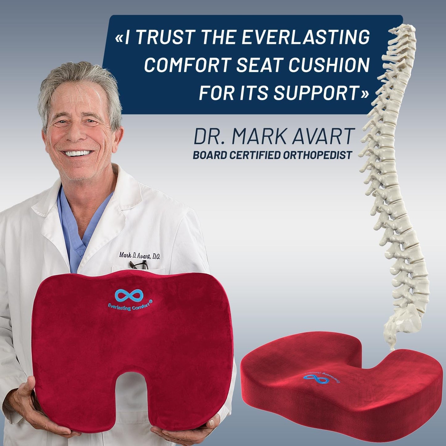 Everlasting Comfort Doctor Recommended Memory Foam Seat Cushion for Office Chairs & Car - Ergonomic Office Desk Accessories - Cushions for Tailbone Pain Relief, Sciatica (Red, Large)