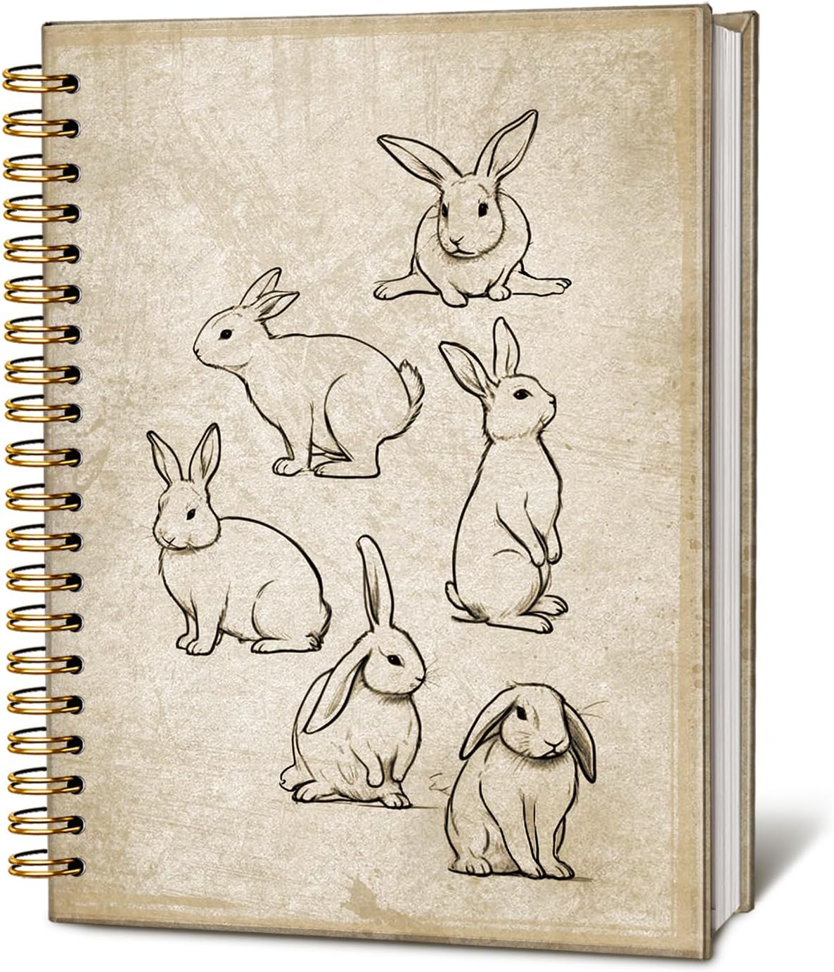 Retro Carrot Rabbits Notebook, Bunny Gifts for Women Notebooks for Note Taking, Gifts for Rabbit Bunny Lovers Journal, Vintage Bunnies Journals for Writing, 5.5x8.3 Inch