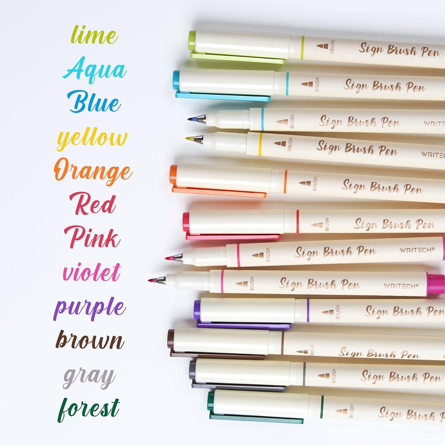 WRITECH Brush Tip Marker Pens: Artist Markers Flexible Tip Water Based 12ct Assorted Colors for Journaling Adult Coloring Hand Lettering Calligraphy Drawing Vibrant Colored