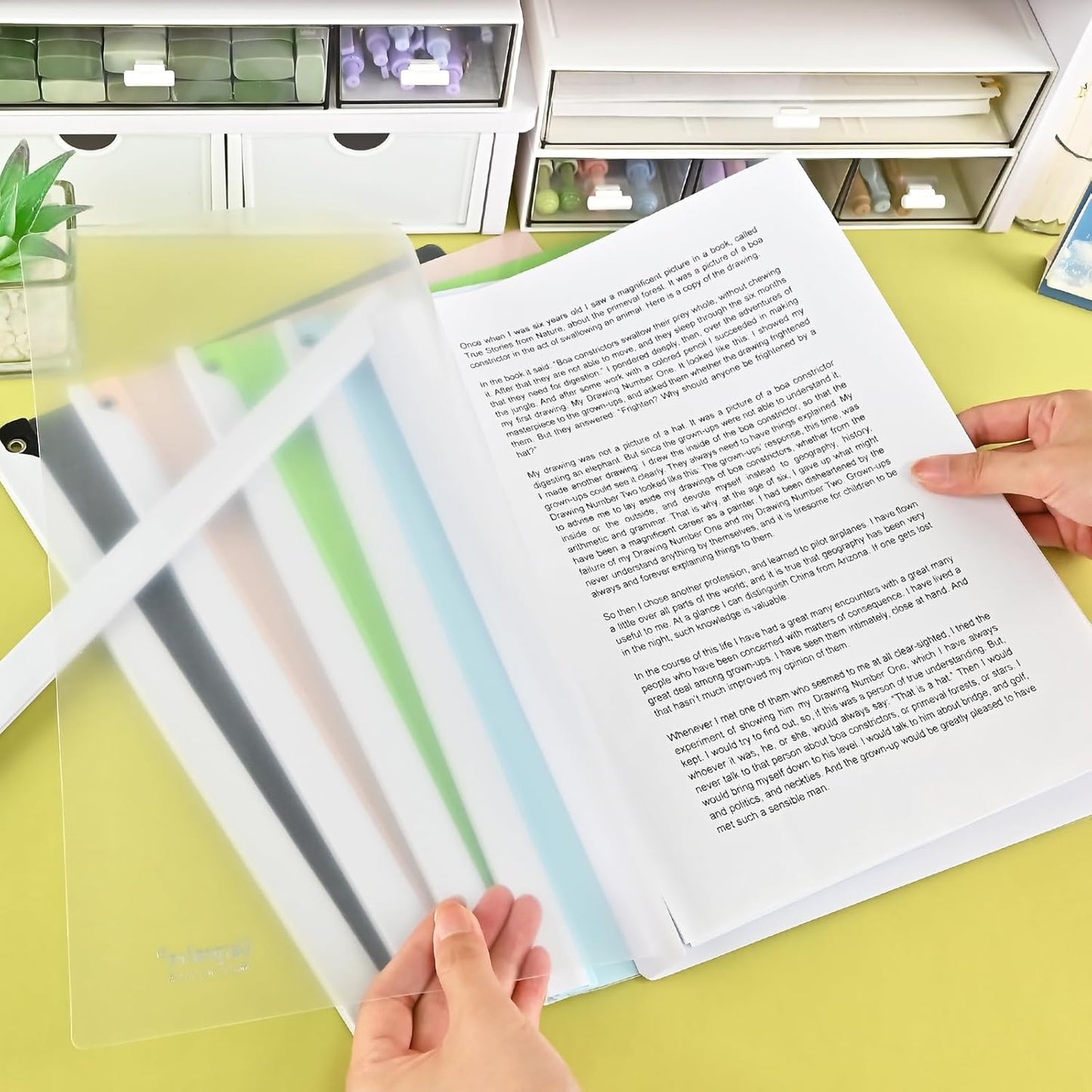 BAYTORY Clear Report Covers with Swing Clip, Plastic Folders for A4 and Letter Size Paper, 5 Pack Clear Front Presentation Binder for School Business, 40 Sheet Capacity/Pack (Morandi)