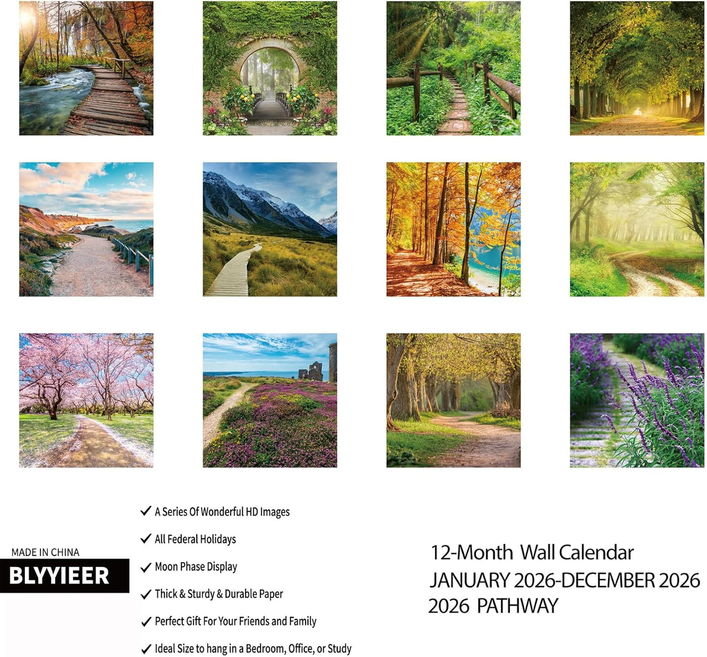 2026 Wall Calendar PATHWAYS | Hangable Wall Calendars | 12" x 24" (Open) | Thick & Sturdy Paper for Organizing & Planning | Home and Office | Giftable | PATHWAYS