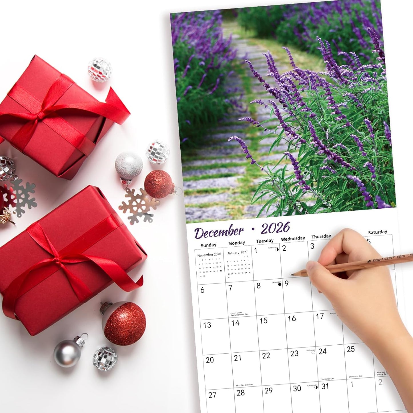 2026 Wall Calendar PATHWAYS | Hangable Wall Calendars | 12" x 24" (Open) | Thick & Sturdy Paper for Organizing & Planning | Home and Office | Giftable | PATHWAYS