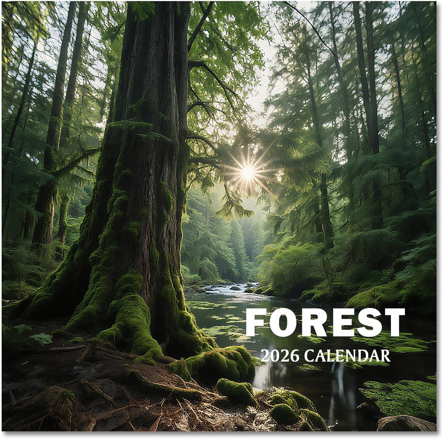 2026 Calendar, 2026 Wall Calendar, Monthly Calendars 12 Month Forest 12" x 24" Opened, Thick Glossy Paper for Organizing Planning, Ideal for Home Office