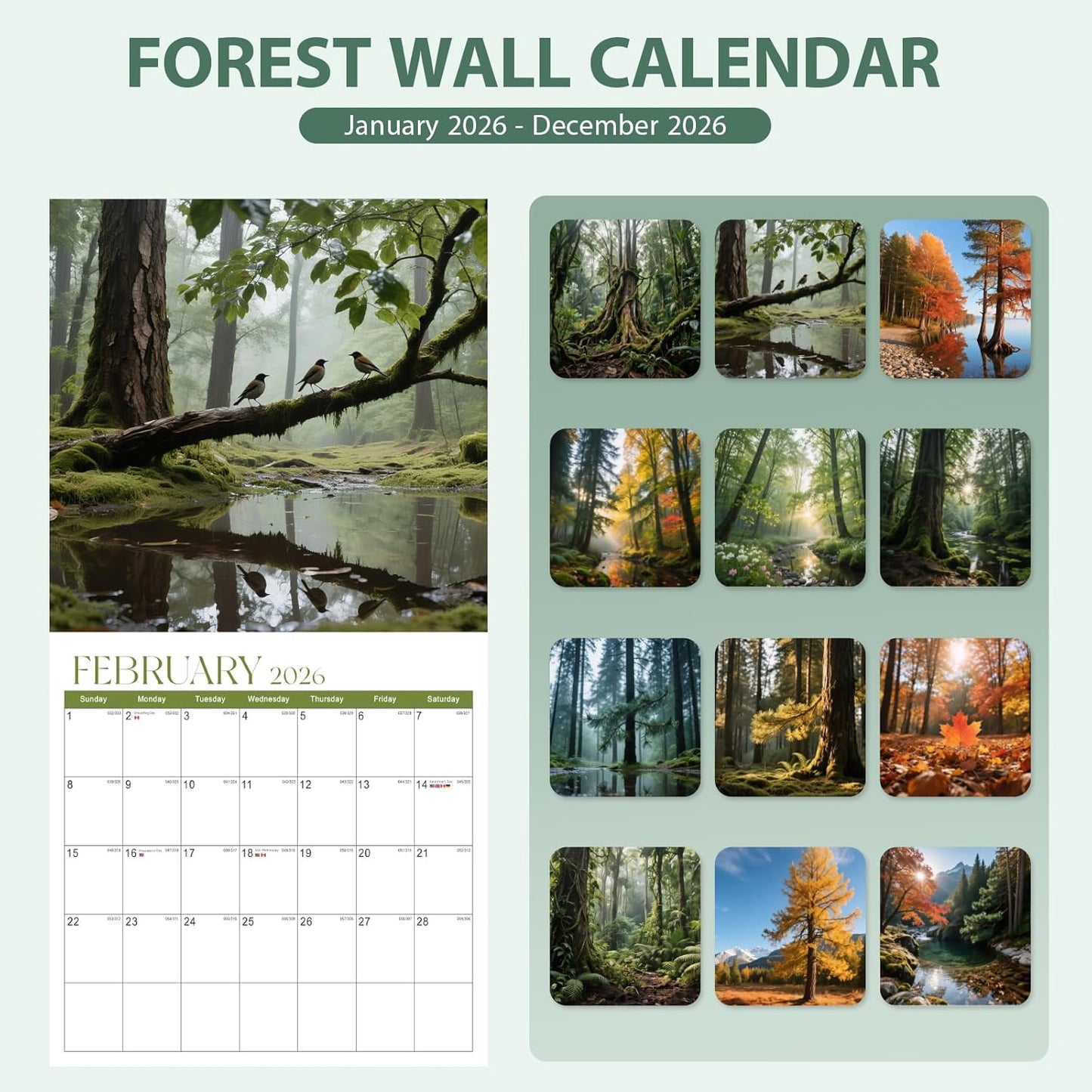 2026 Calendar, 2026 Wall Calendar, Monthly Calendars 12 Month Forest 12" x 24" Opened, Thick Glossy Paper for Organizing Planning, Ideal for Home Office