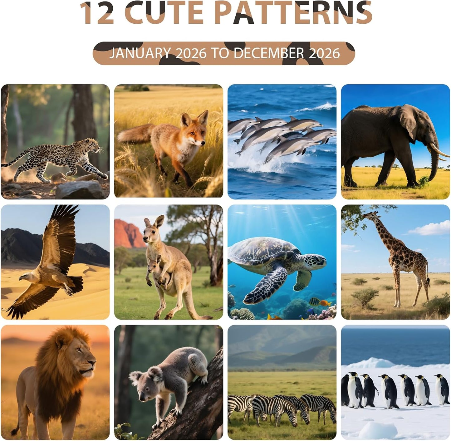 2026 Wall Calendar, Large Monthly Wall Calendar Dogs, Jan 2026 - Dec 2026, 12" x 24" (Opened), Hanging Planning Calendars for Family Home Office Supplies