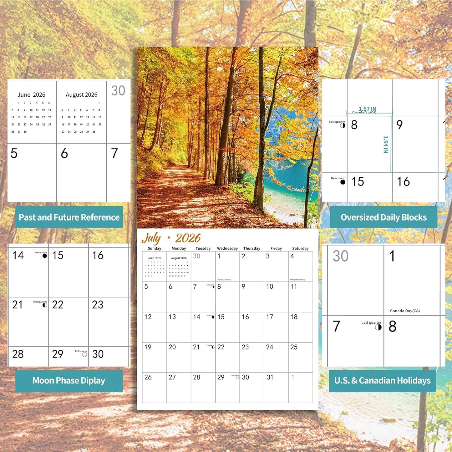 2026 Wall Calendar PATHWAYS | Hangable Wall Calendars | 12" x 24" (Open) | Thick & Sturdy Paper for Organizing & Planning | Home and Office | Giftable | PATHWAYS