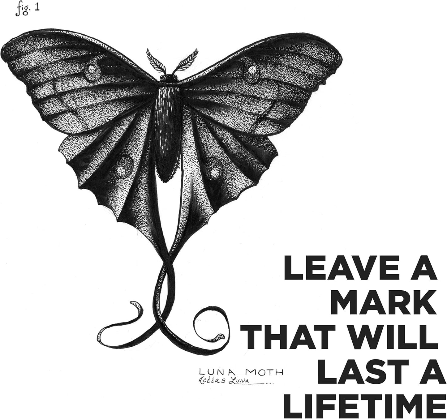 SAKURA Pigma Sketch Brush - Archival Ink Sketching Pens - Art Pens for Calligraphy, Hand Lettering & Writing - Assorted Archival Colors - 8 Pack