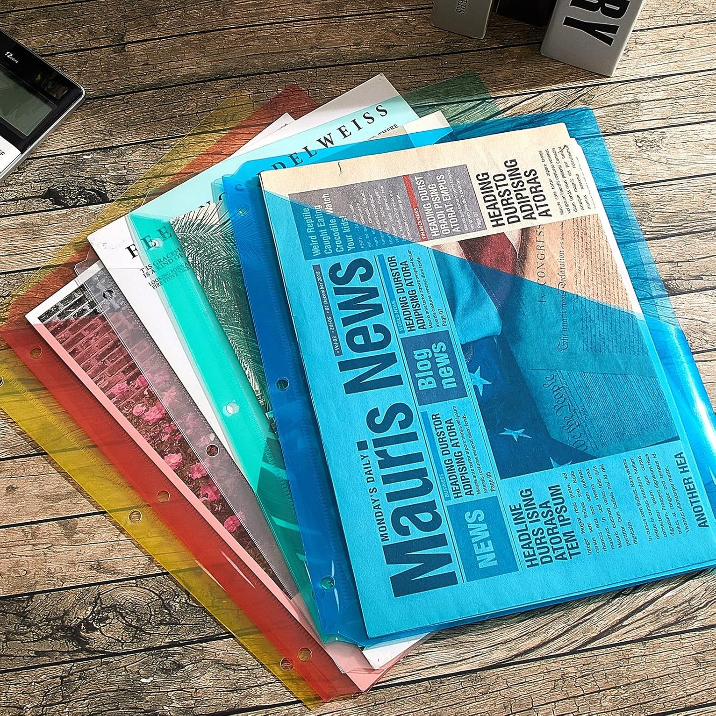 Maitys 50 Pack Binder Pockets 3 Hole Punch Clear Plastic Document Folders Binder Organizer Store Letter Size 8.5x11 Inch Paper Folders with Pockets Slash File Jacket for Office (Fresh Color)